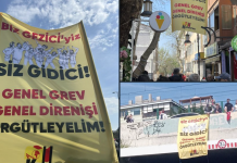 Only One Question in Minds, What Will We Do Now?