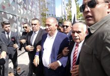 Saray Rejimi, kurtlar, çakallar ya da muhalefetin dizaynı